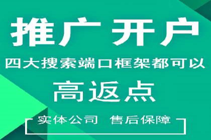 百度SEO推广公司案例精选：揭秘关键词优化策略